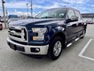 2016 Ford F-150 2WD XLT SuperCrew thumbnail image 08