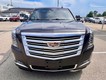 2016 Cadillac Escalade Platinum thumbnail image 02