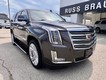 2016 Cadillac Escalade Platinum thumbnail image 03