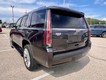 2016 Cadillac Escalade Platinum thumbnail image 08