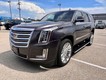 2016 Cadillac Escalade Platinum thumbnail image 09