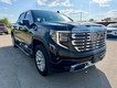 2022 GMC Sierra 1500 4WD Crew Cab Denali thumbnail image 03