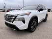 2024 Nissan Rogue Platinum thumbnail image 08