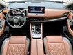 2024 Nissan Rogue Platinum thumbnail image 13