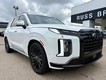 2024 Hyundai Palisade Calligraphy Night Edition thumbnail image 03