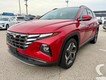 2023 Hyundai Tucson Limited thumbnail image 08