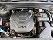 2023 Kia Telluride SX-P thumbnail image 10