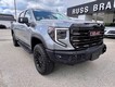 2023 GMC Sierra 1500 4WD AT4X Crew Cab thumbnail image 03
