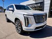 2025 Cadillac Escalade 4WD Premium Luxury Platinum thumbnail image 03