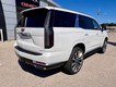 2025 Cadillac Escalade 4WD Premium Luxury Platinum thumbnail image 04