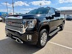 2023 GMC Sierra 2500HD 4WD Crew Cab Denali thumbnail image 08