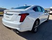 2026 Cadillac CT5 Premium Luxury thumbnail image 04