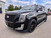 2018 Cadillac Escalade ESV Premium Luxury thumbnail image 09