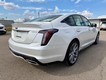 2024 Cadillac CT5 Sport thumbnail image 04