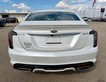 2024 Cadillac CT5 Sport thumbnail image 05
