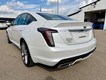 2024 Cadillac CT5 Sport thumbnail image 06