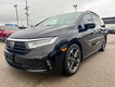 2023 Honda Odyssey Elite thumbnail image 09