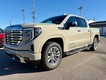 2026 GMC Sierra 1500 4WD Crew Cab Denali thumbnail image 09