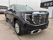 2025 GMC Sierra 1500 Denali thumbnail image 03