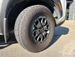 2024 Nissan Frontier PRO-4X thumbnail image 10
