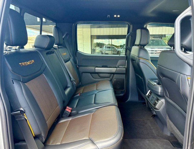 2025 Ford F-150 Tremor thumbnail image 11