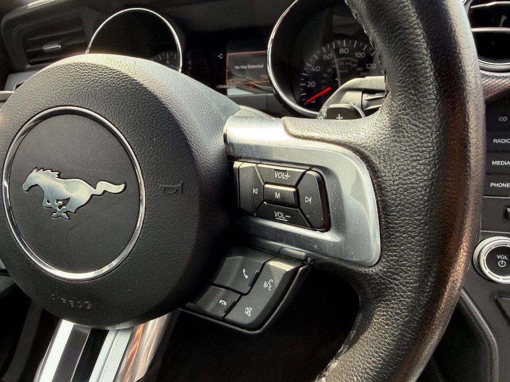 Ford Mustang Vehicle Full-screen Gallery Image 11