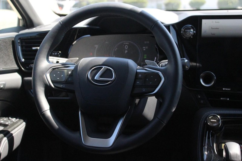 Lexus NX Vehicle Full-screen Gallery Image 12