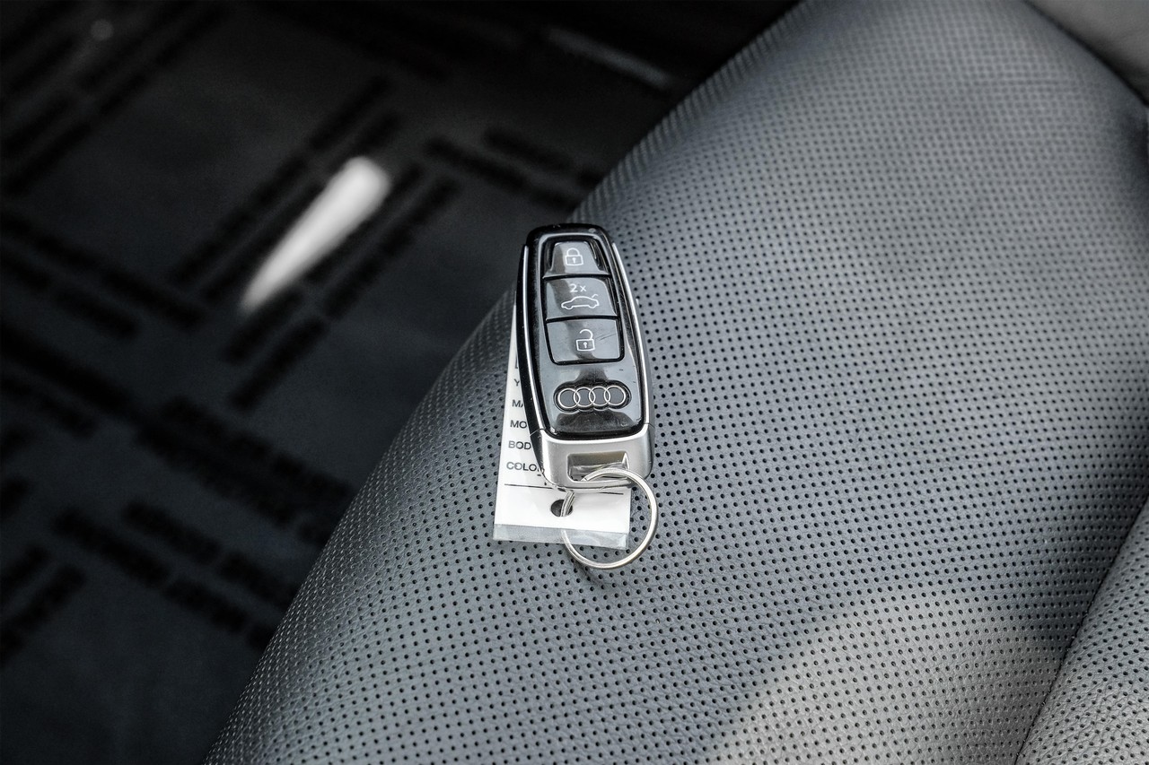Audi Q8 Vehicle Main Gallery Image 56