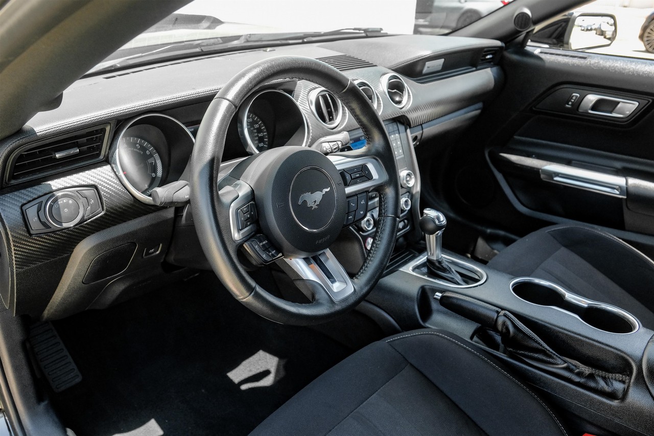 Ford Mustang Vehicle Main Gallery Image 03