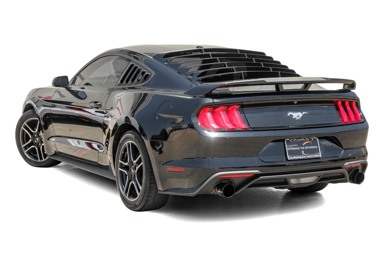 Ford Mustang Vehicle Main Gallery Image 09