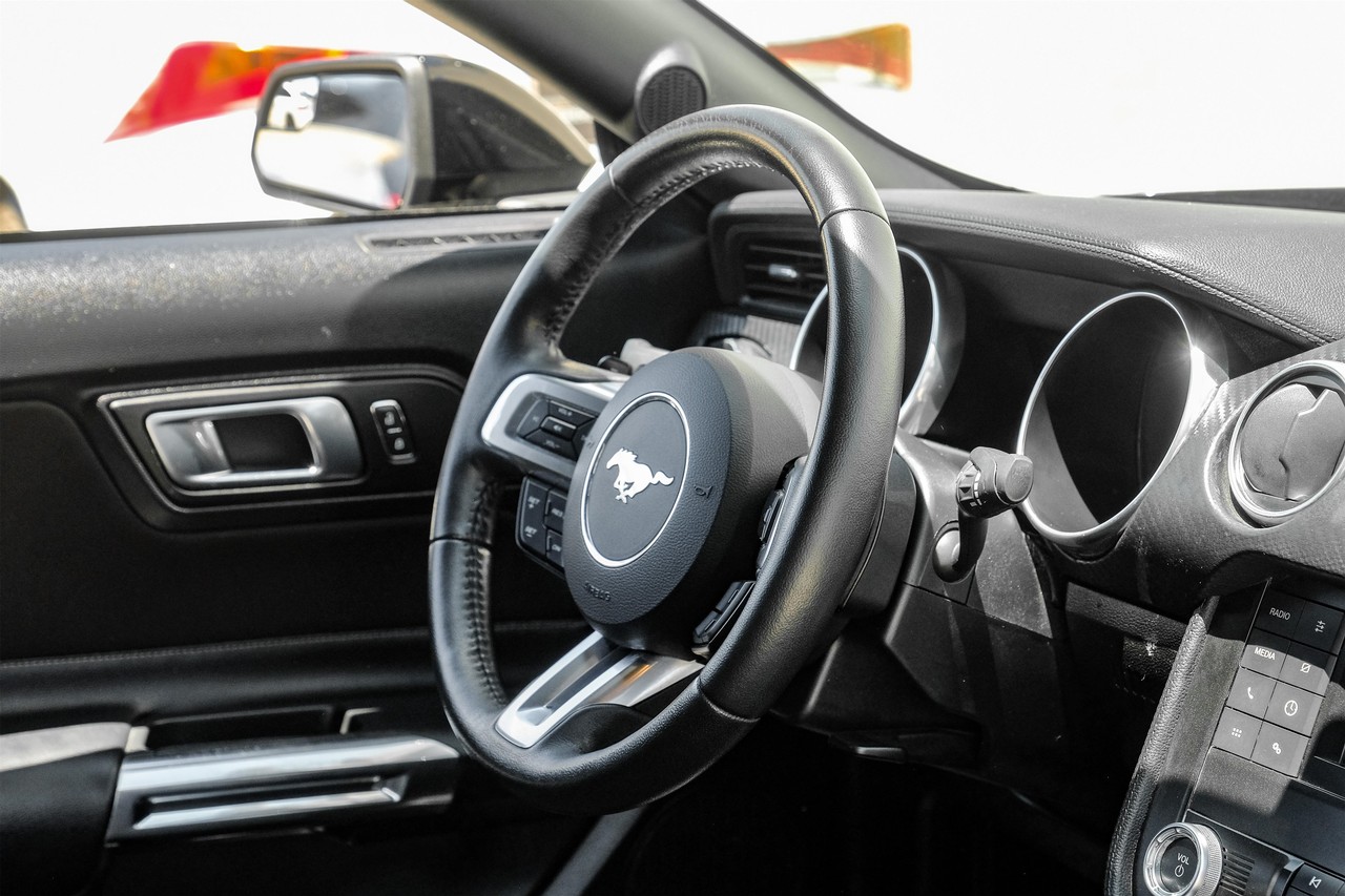 Ford Mustang Vehicle Main Gallery Image 12