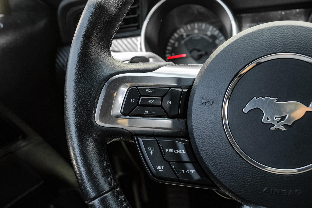 Ford Mustang Vehicle Main Gallery Image 14