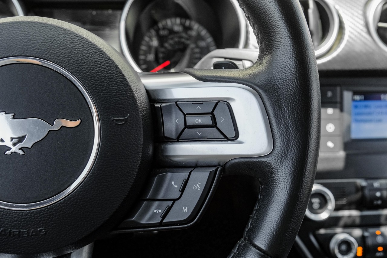 Ford Mustang Vehicle Main Gallery Image 15