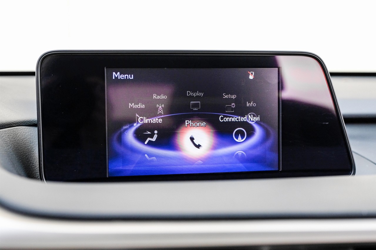 Lexus RX 350 Vehicle Main Gallery Image 33