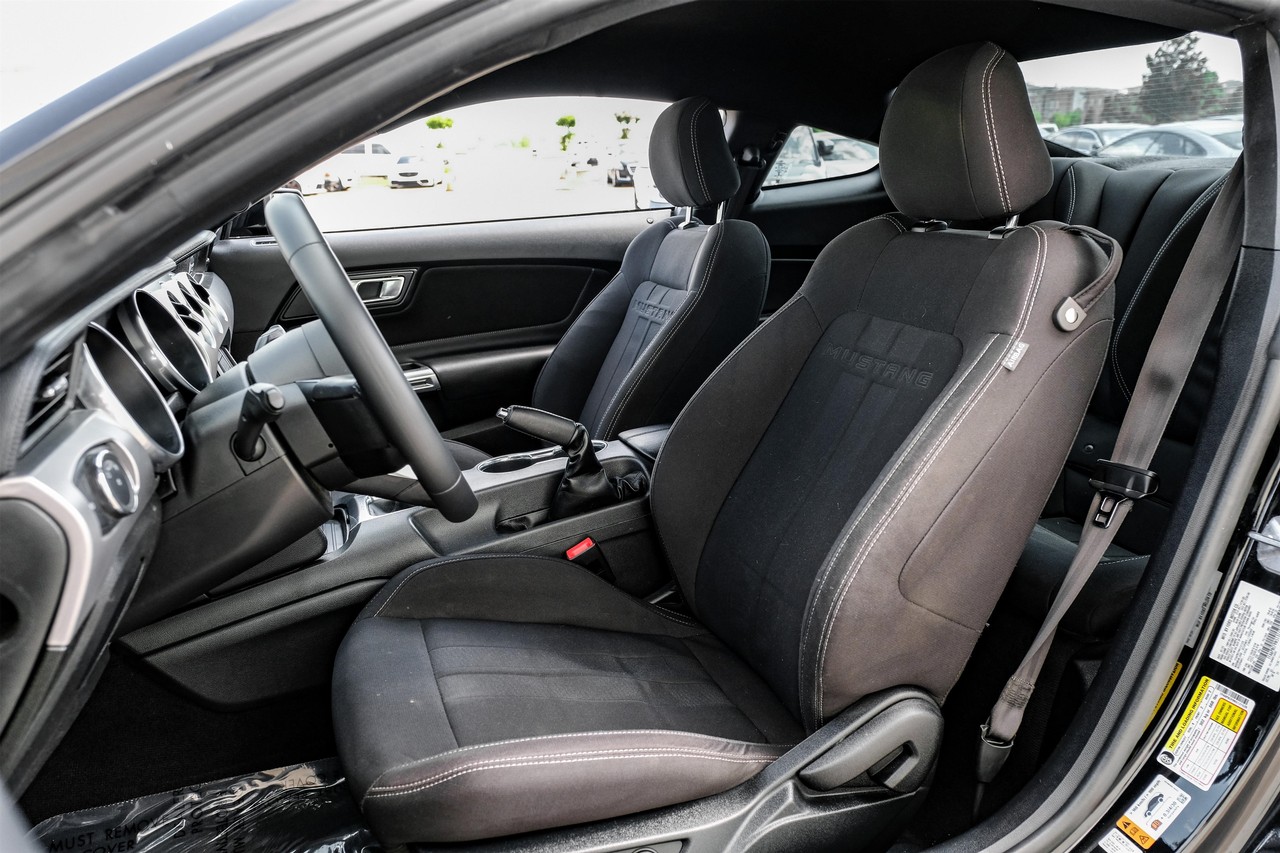Ford Mustang Vehicle Main Gallery Image 04