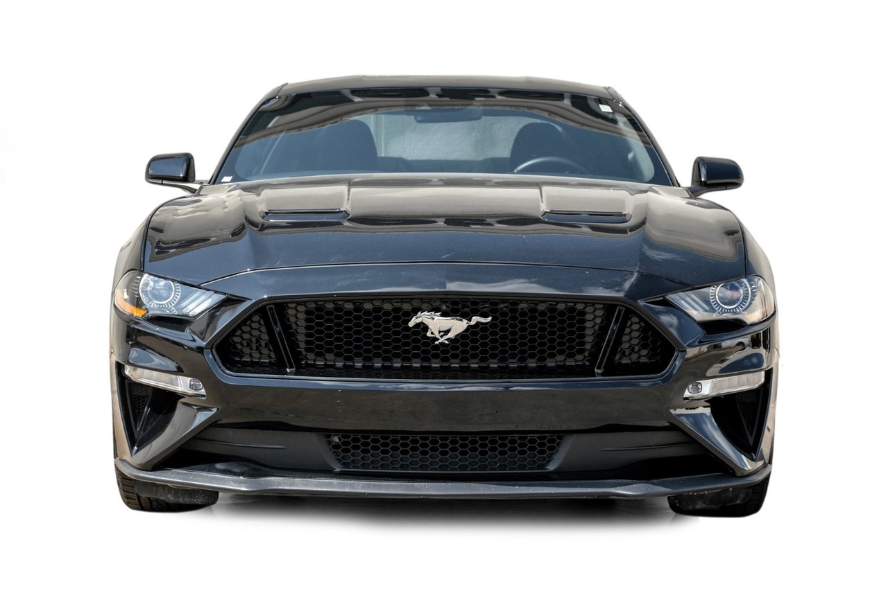 Ford Mustang Vehicle Main Gallery Image 05