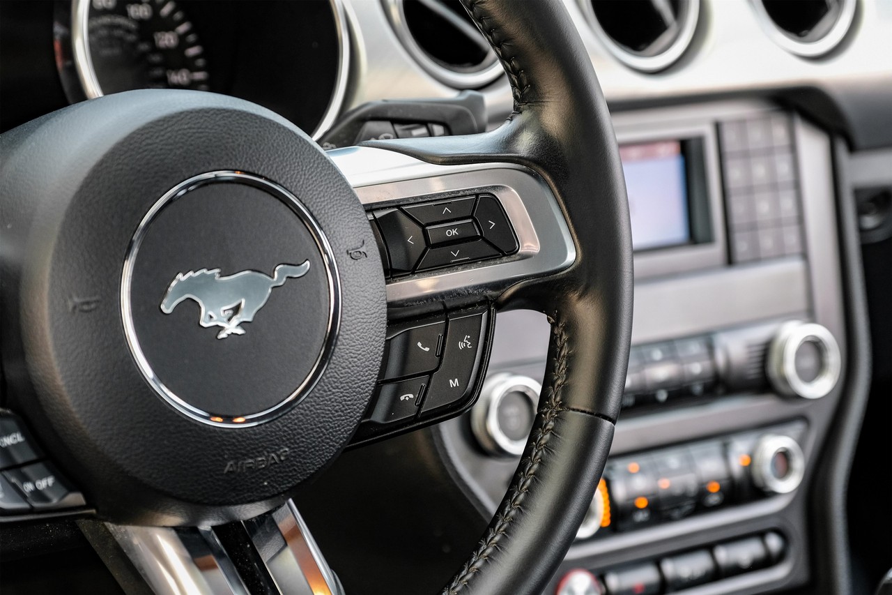 Ford Mustang Vehicle Main Gallery Image 16