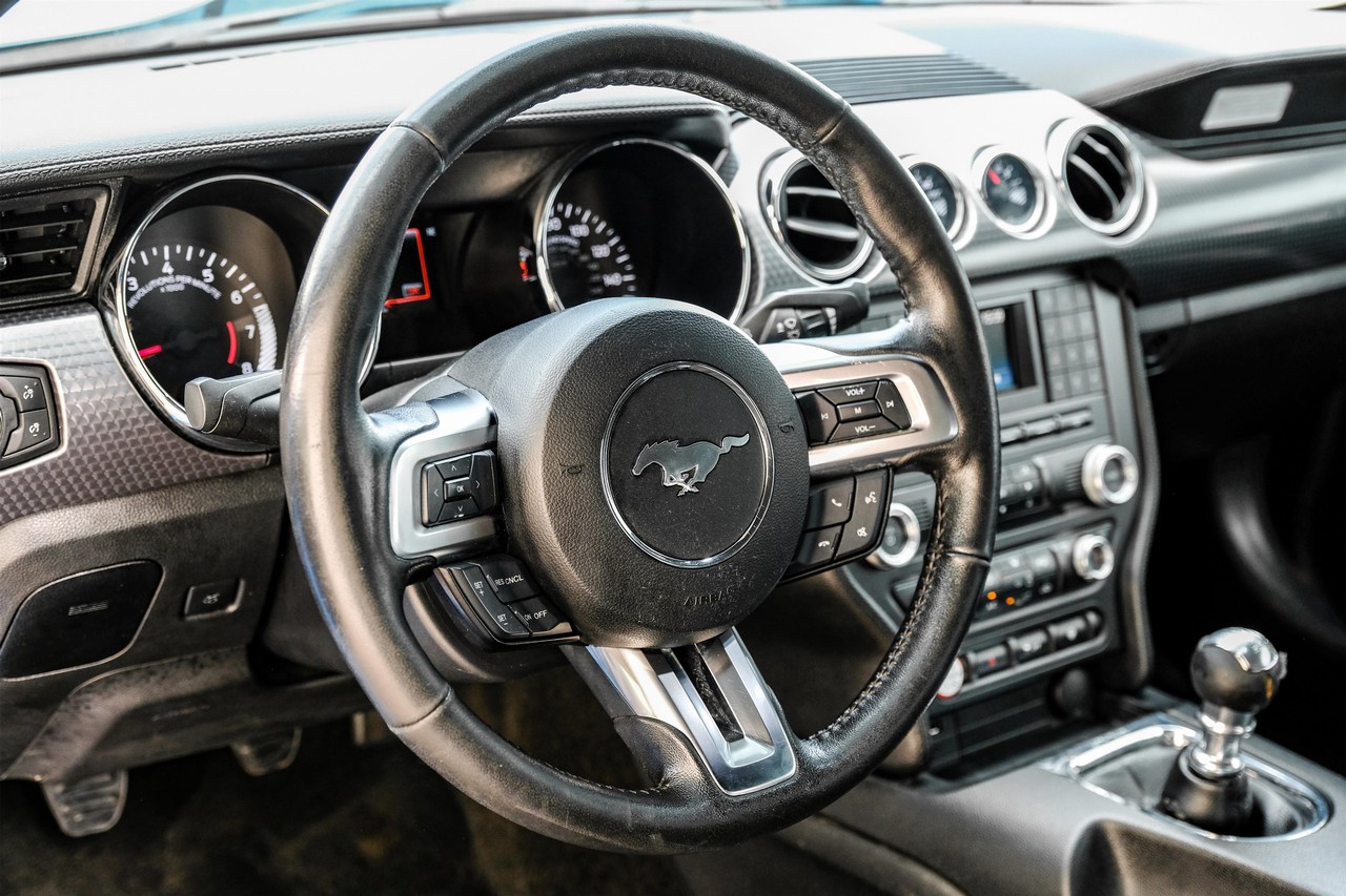 Ford Mustang Vehicle Main Gallery Image 14
