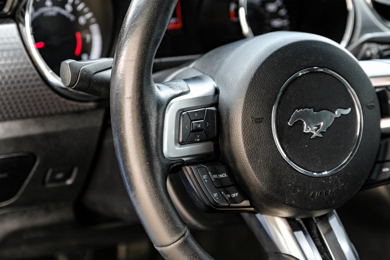 Ford Mustang Vehicle Main Gallery Image 15