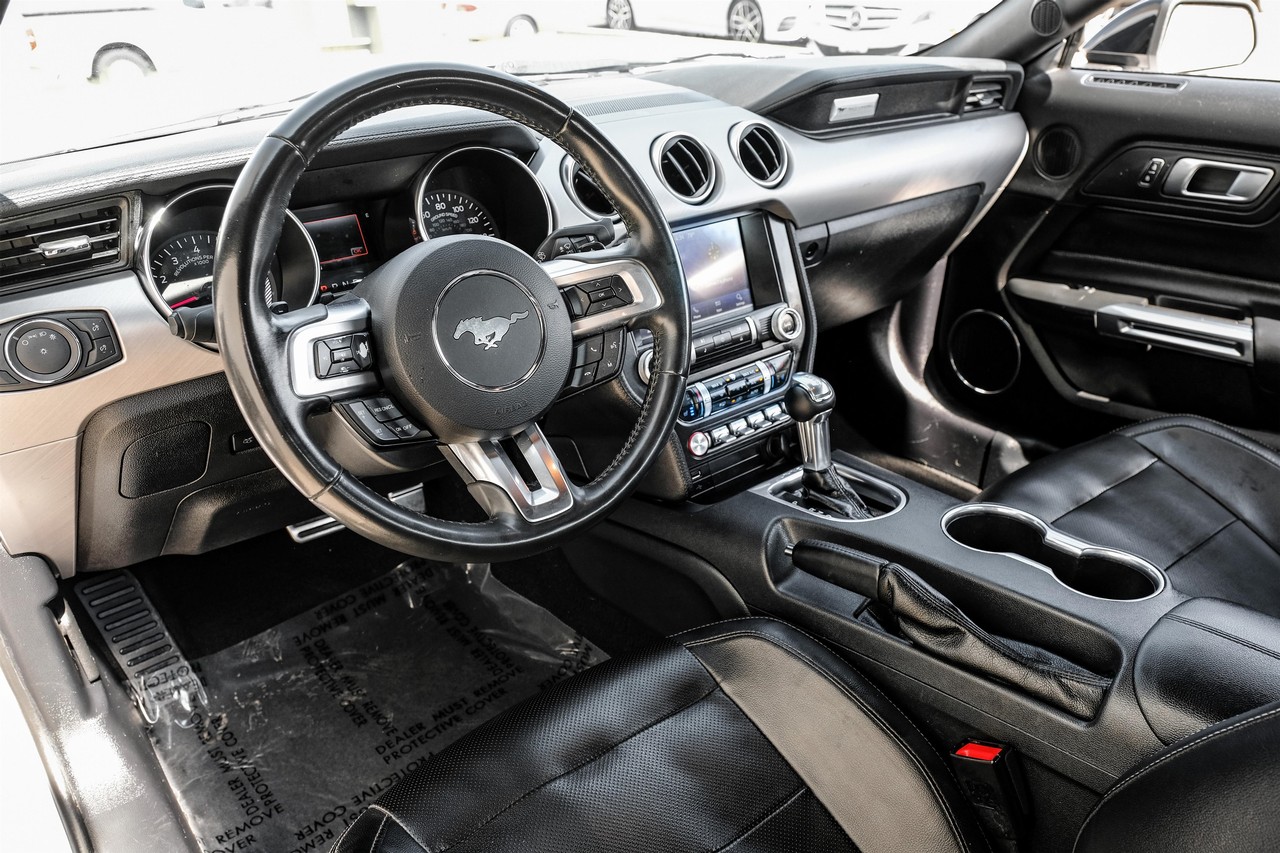 Ford Mustang Vehicle Main Gallery Image 03