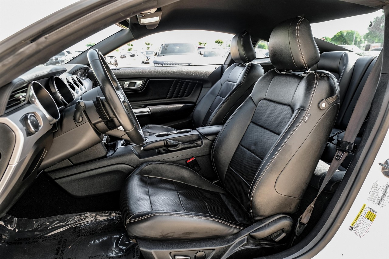 Ford Mustang Vehicle Main Gallery Image 04