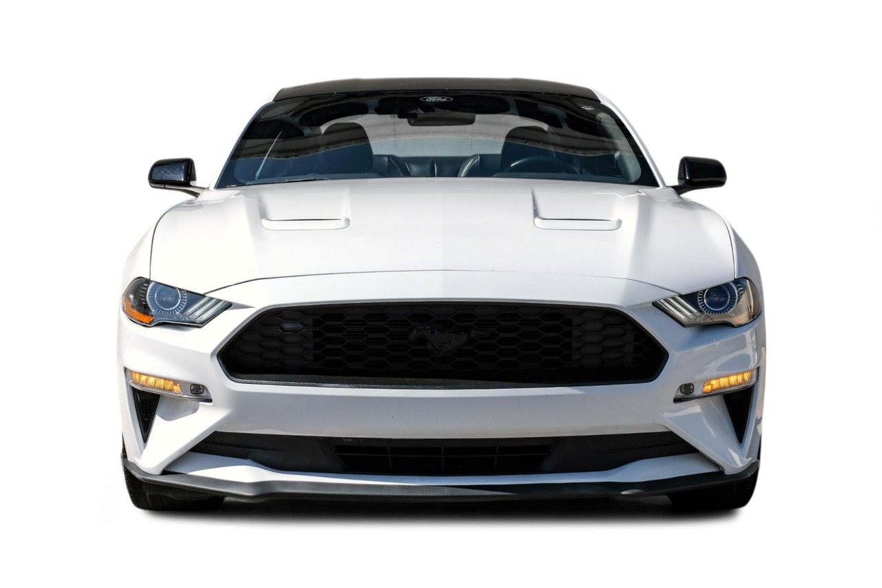 Ford Mustang Vehicle Main Gallery Image 05
