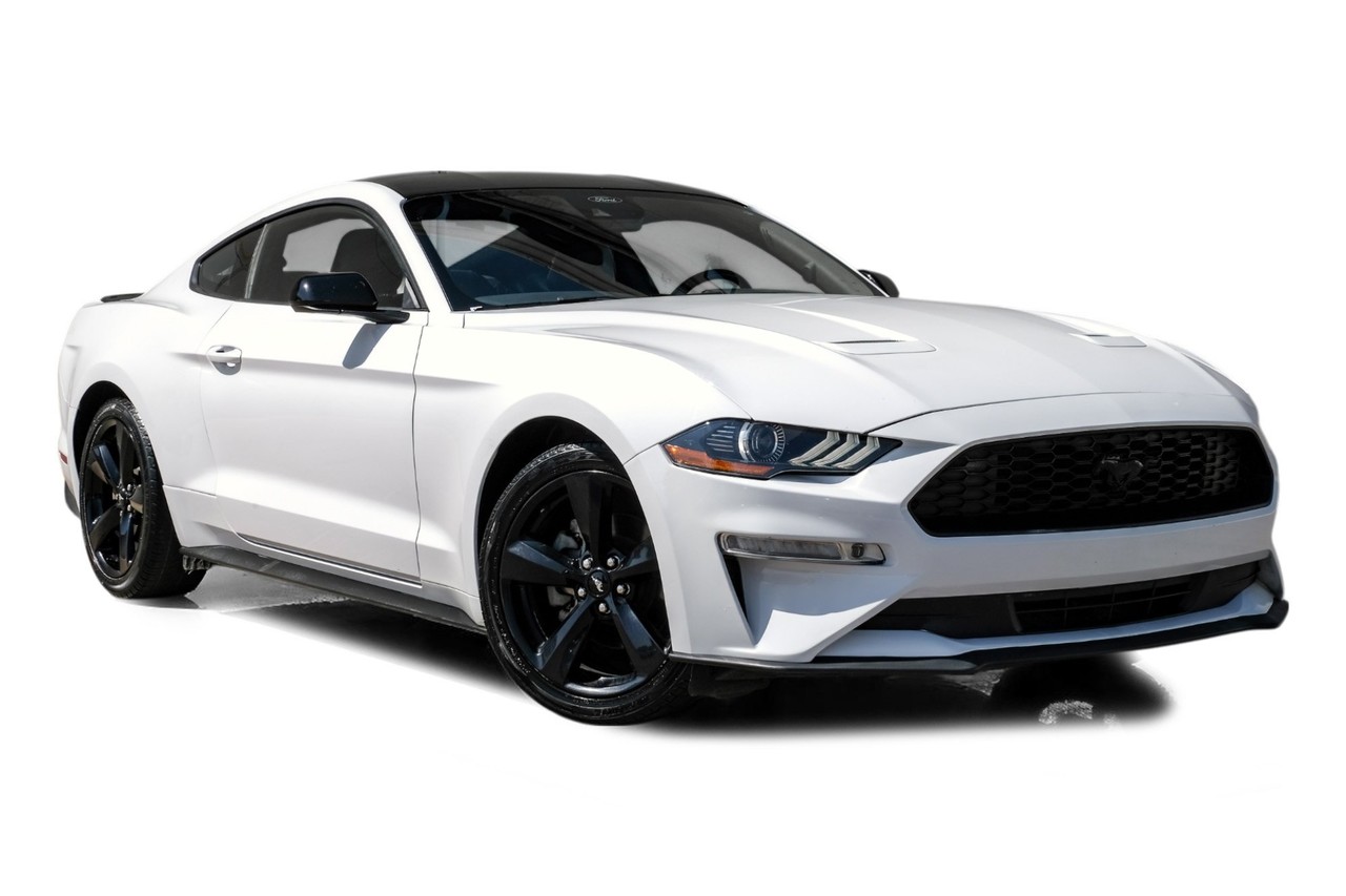 Ford Mustang Vehicle Main Gallery Image 06
