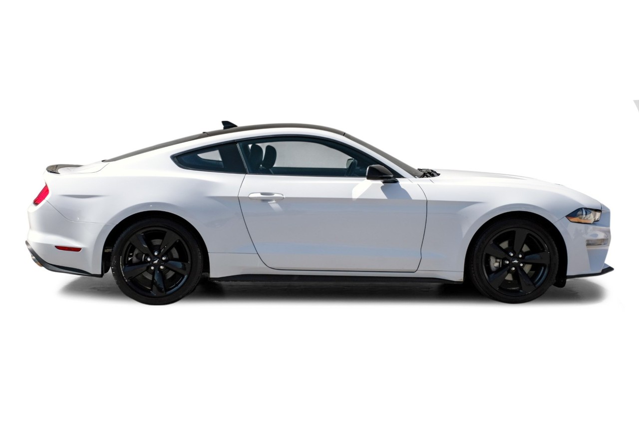 Ford Mustang Vehicle Main Gallery Image 07