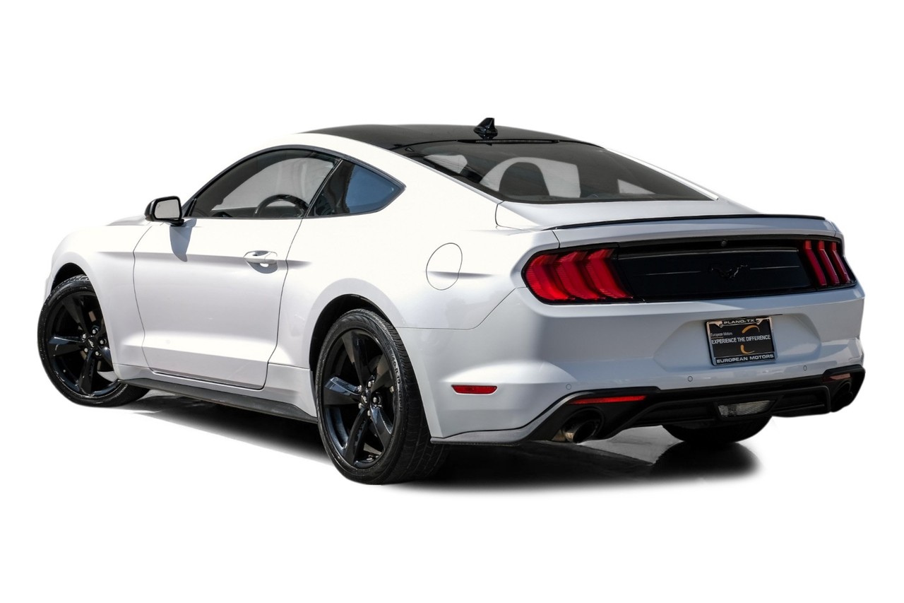 Ford Mustang Vehicle Main Gallery Image 10