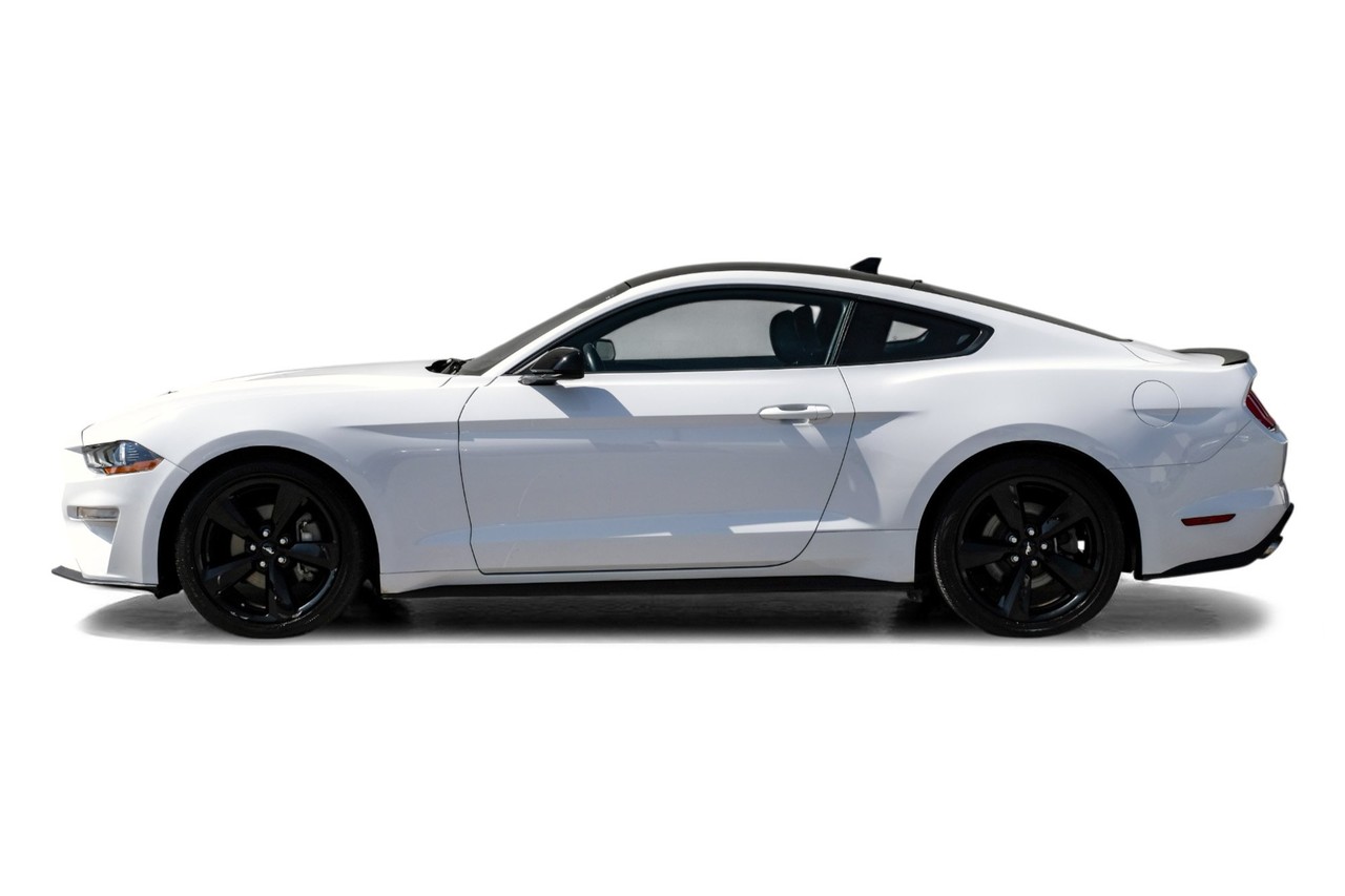 Ford Mustang Vehicle Main Gallery Image 11