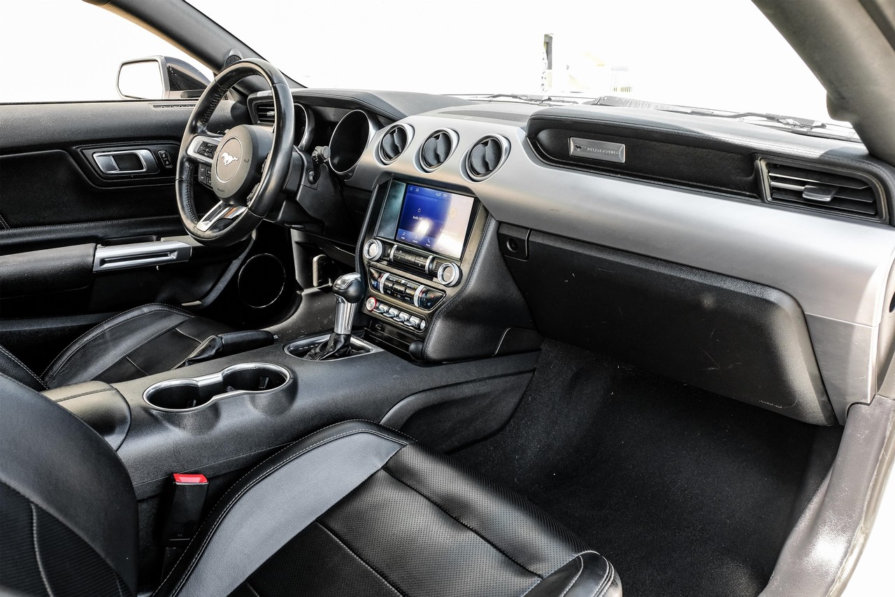 Ford Mustang Vehicle Main Gallery Image 12