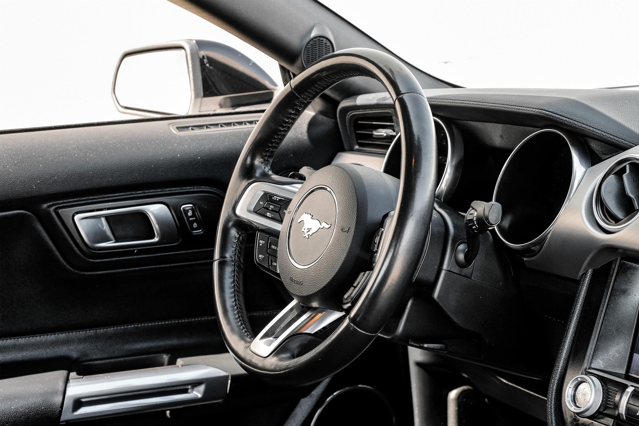 Ford Mustang Vehicle Main Gallery Image 13