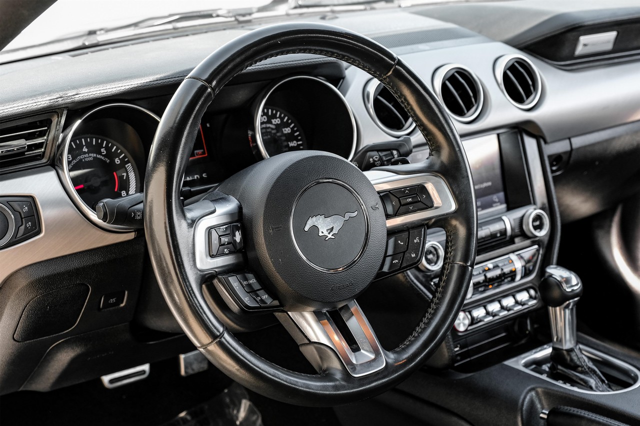 Ford Mustang Vehicle Main Gallery Image 14
