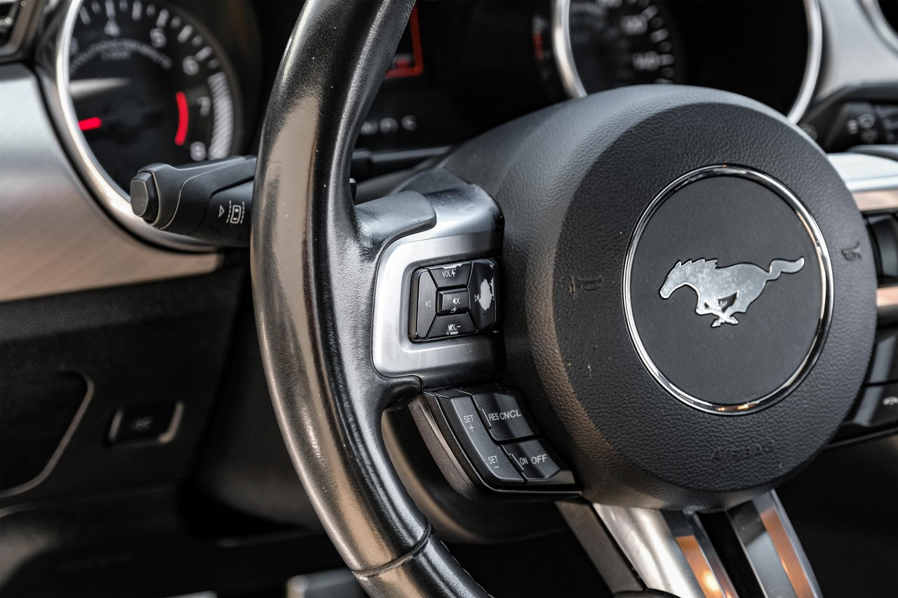 Ford Mustang Vehicle Main Gallery Image 15